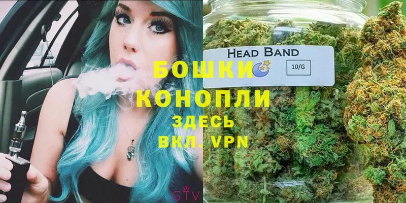 Бошки марихуана OG Kush  наркошоп  OMG вход  Ртищево 